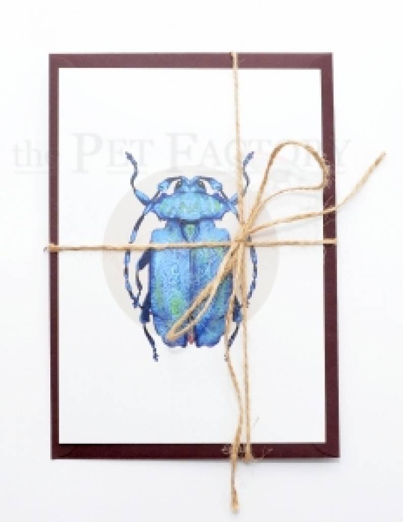 Postcard Blue Longhorn Beetle